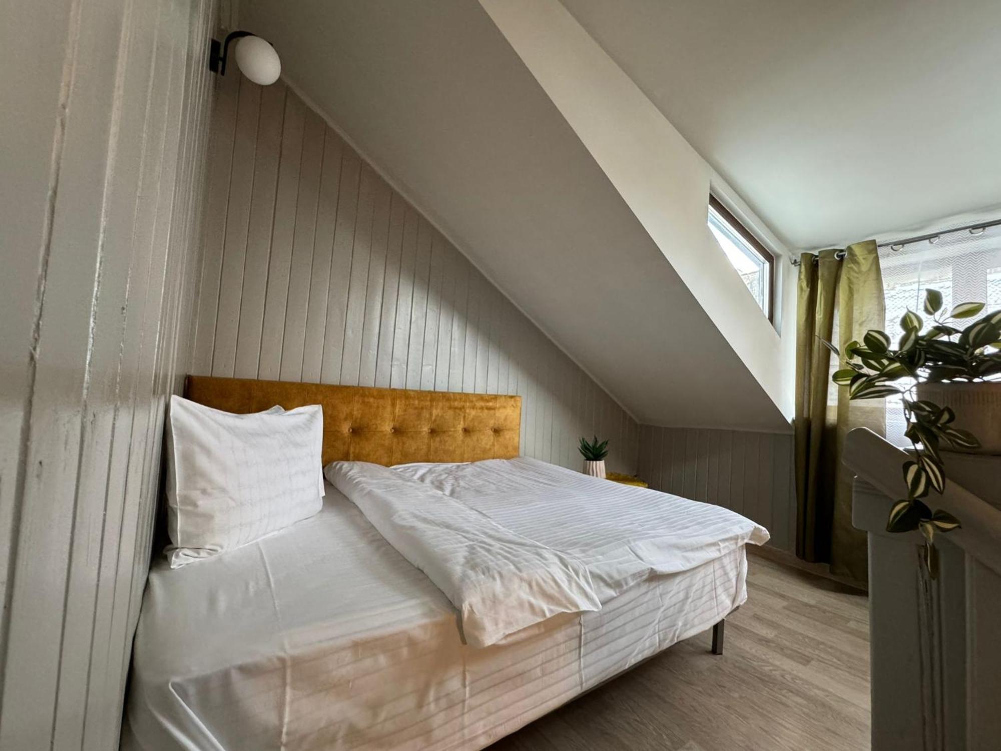 Central Stay Brasov Exterior photo